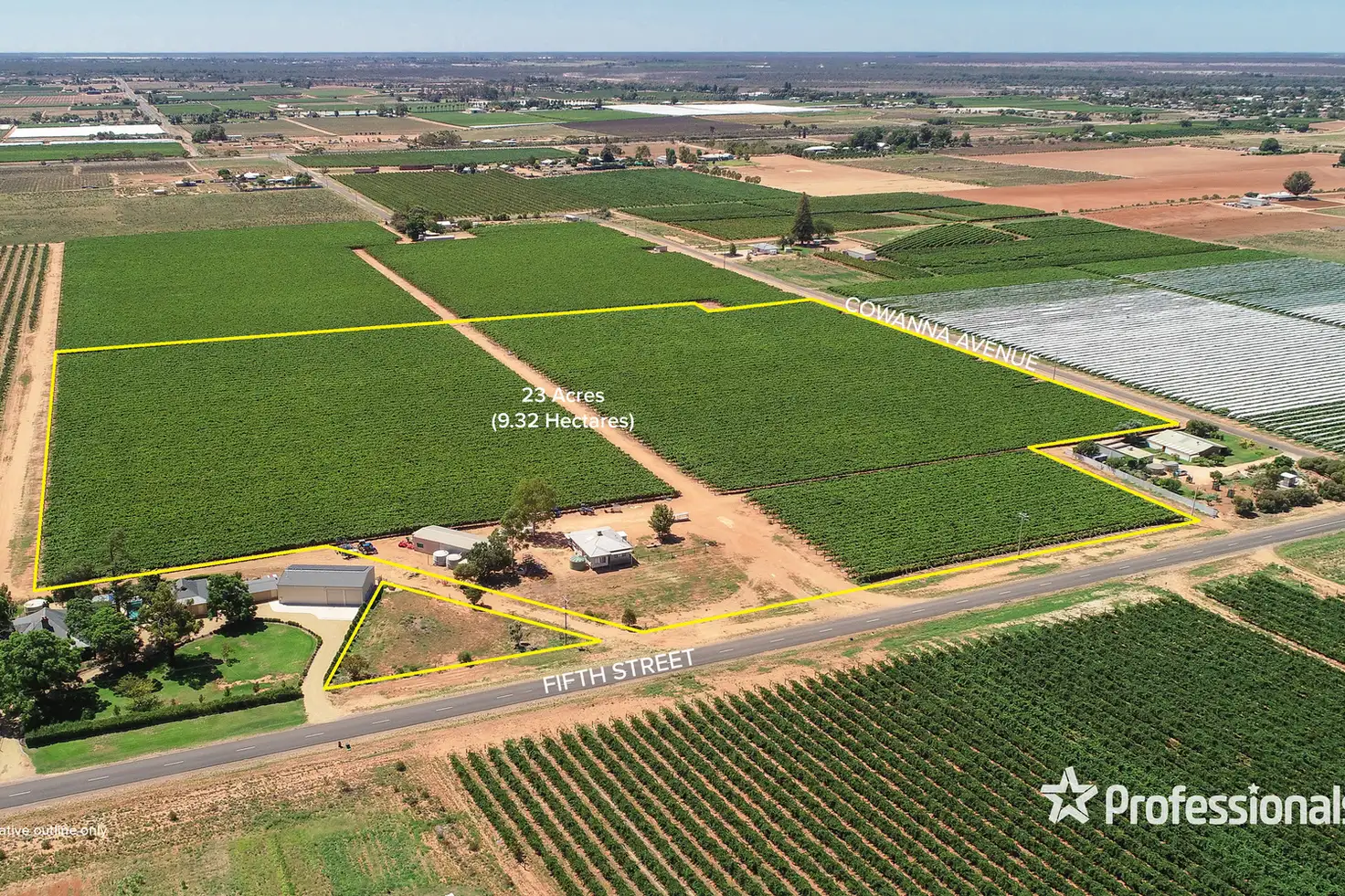 Main view of Homely rural property listing, 344 Fifth Street, Merbein VIC 3505