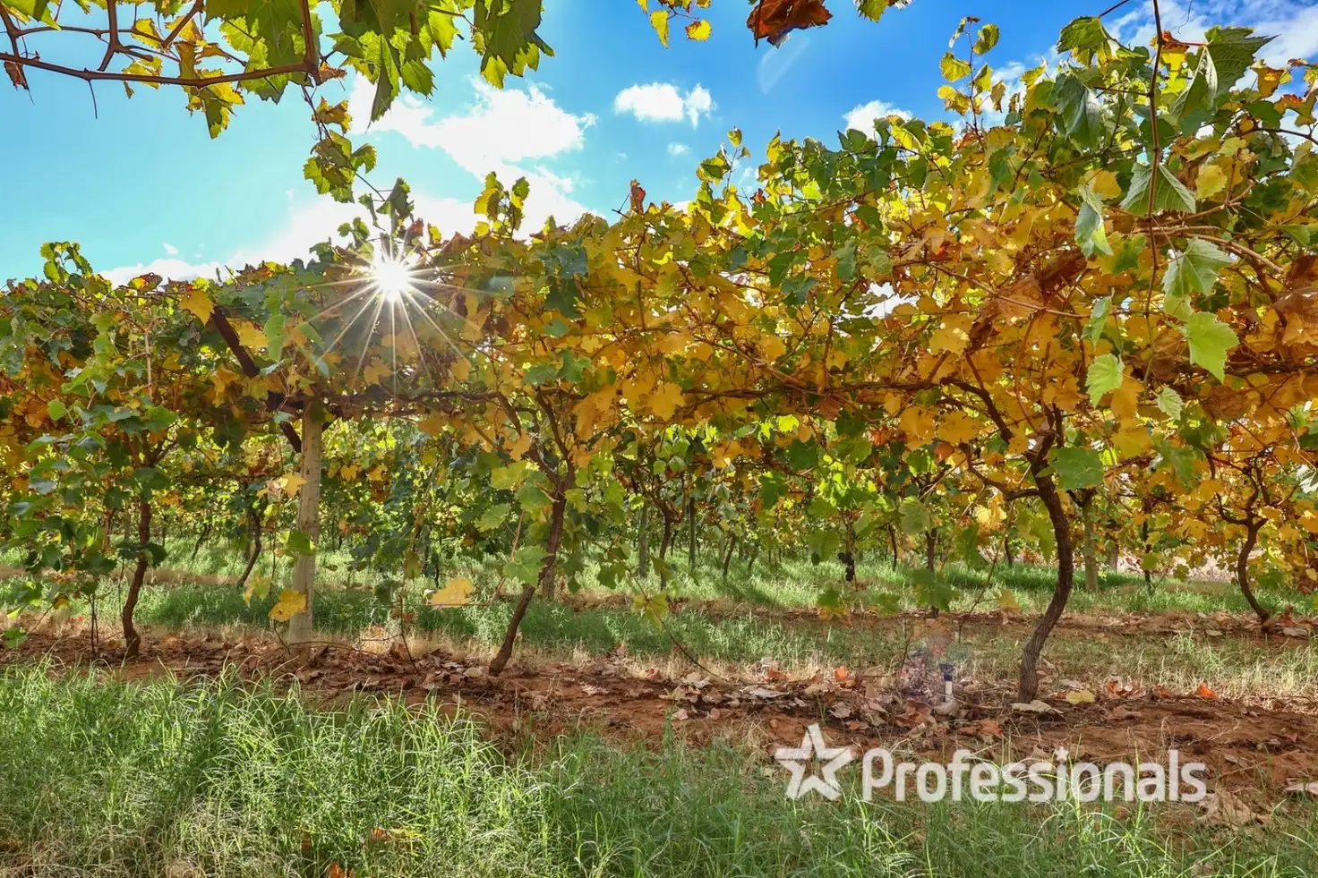 Main view of Homely rural property listing, Lot 2/ Myall Street, Cardross VIC 3496