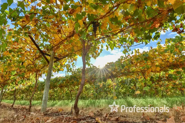 Third view of Homely rural property listing, Lot 2/ Myall Street, Cardross VIC 3496