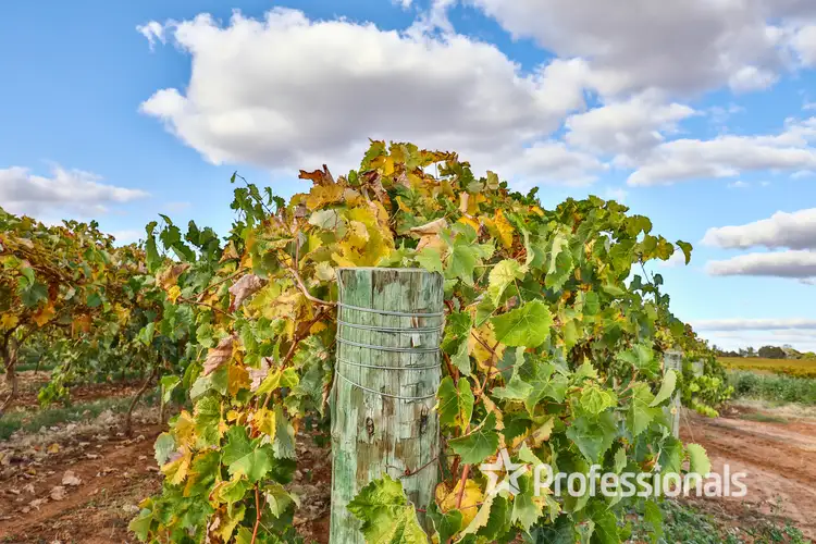 Fifth view of Homely rural property listing, Lot 2/ Myall Street, Cardross VIC 3496