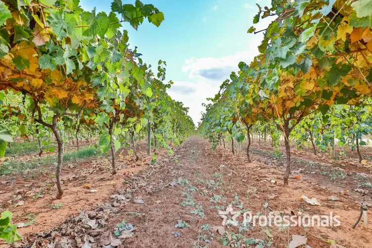 Sixth view of Homely rural property listing, Lot 2/ Myall Street, Cardross VIC 3496