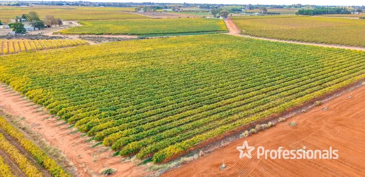 Seventh view of Homely rural property listing, Lot 2/ Myall Street, Cardross VIC 3496