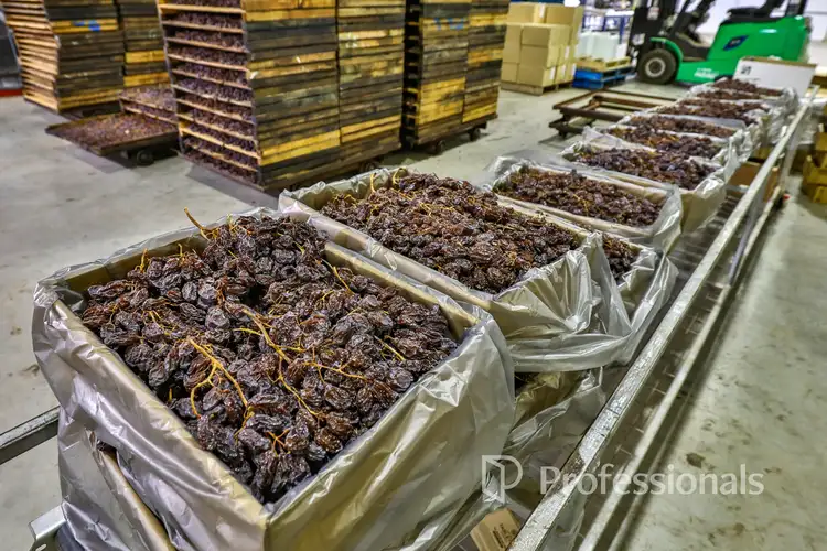 Third view of Homely rural property listing, 14 Sultana Avenue, Irymple VIC 3498