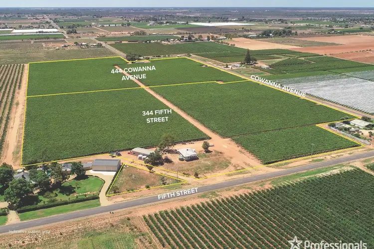 344 Fifth Street & 444 Cowanna Avenue, Merbein VIC 3505