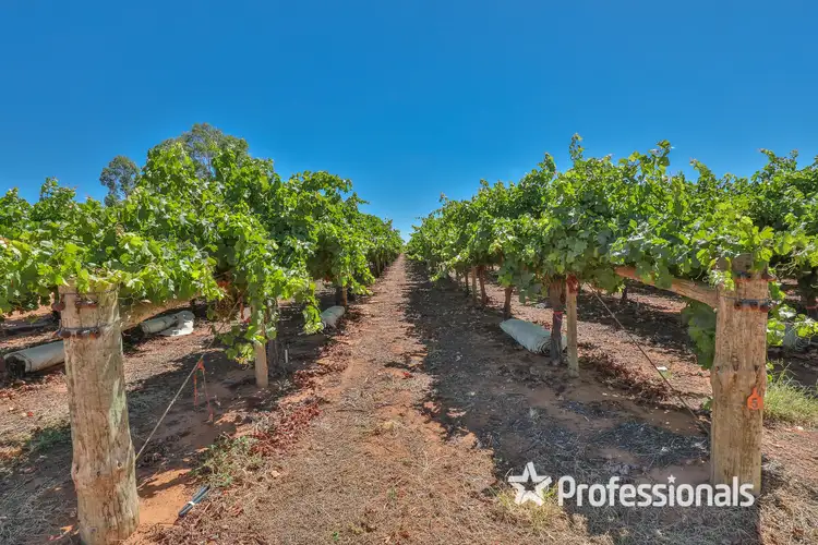 Third view of Homely rural property listing, 344 Fifth Street & 444 Cowanna Avenue, Merbein VIC 3505