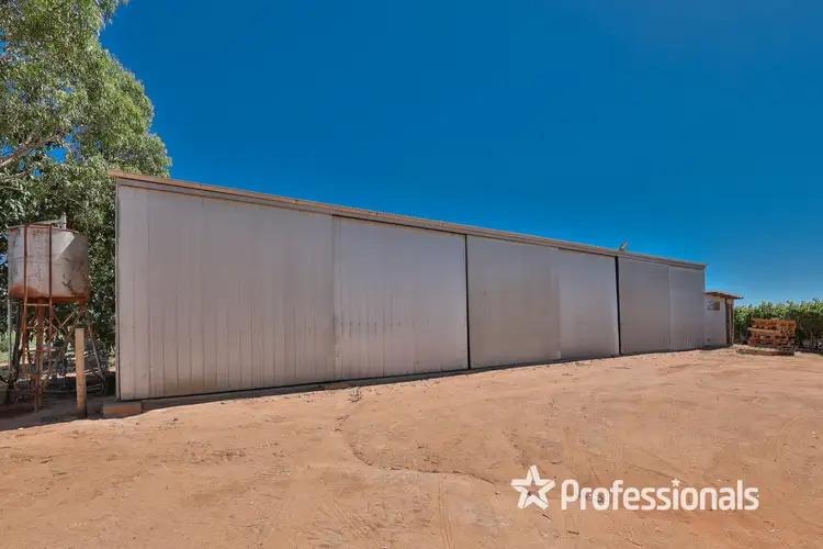 Sixth view of Homely rural property listing, 344 Fifth Street & 444 Cowanna Avenue, Merbein VIC 3505