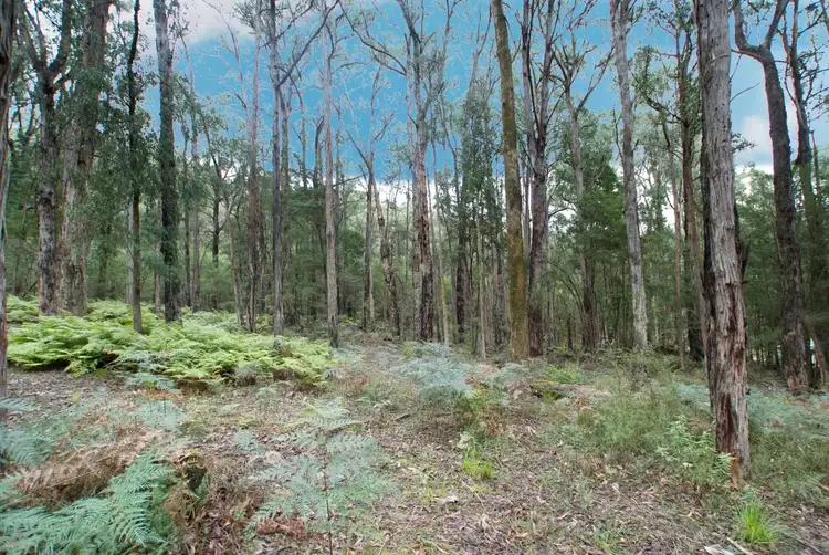 25 Lyrebird Avenue, East Warburton VIC 3799