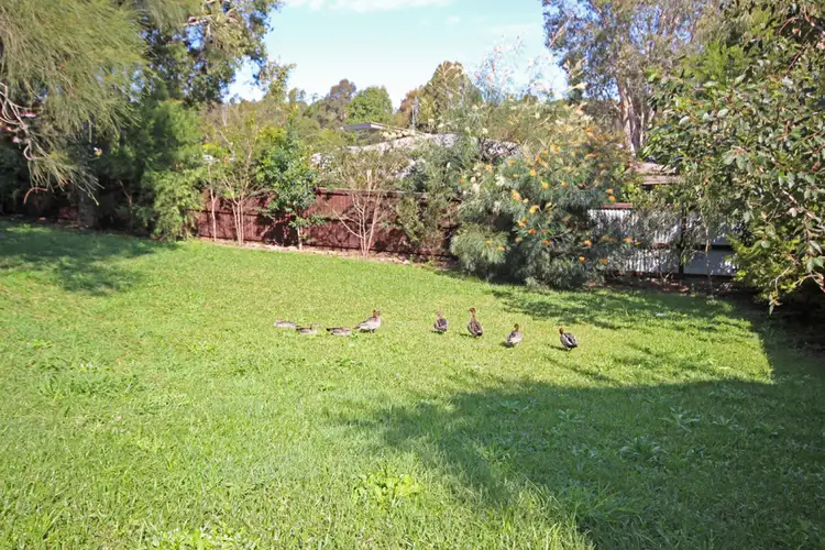 Fourth view of Homely house listing, 11 Hovea Drive, Pottsville NSW 2489