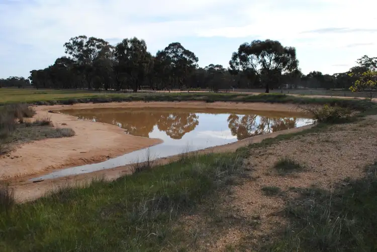 Fourth view of Homely rural property listing, 218 Alma-Bowenvale Road, Alma VIC 3465