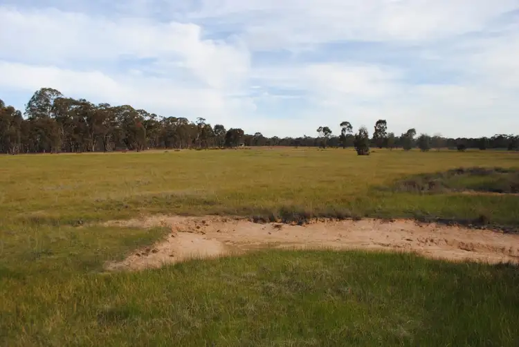 Fifth view of Homely rural property listing, 218 Alma-Bowenvale Road, Alma VIC 3465