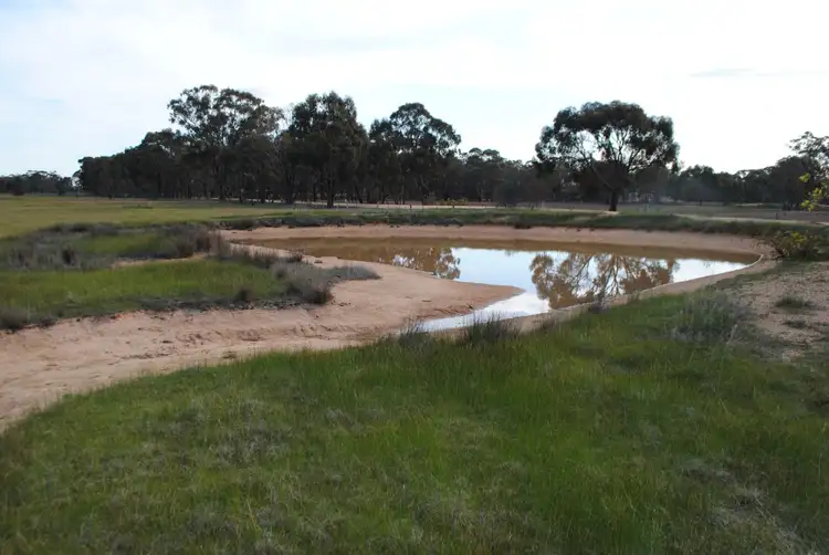 Seventh view of Homely rural property listing, 218 Alma-Bowenvale Road, Alma VIC 3465