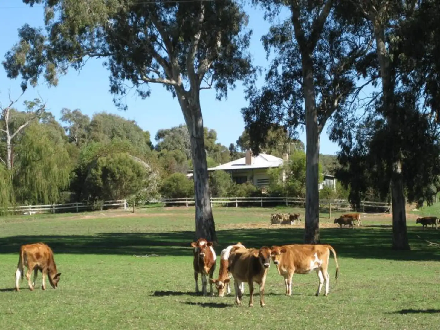 Main view of Homely rural property listing, 50B Decaux Road, Hope Forest SA 5172