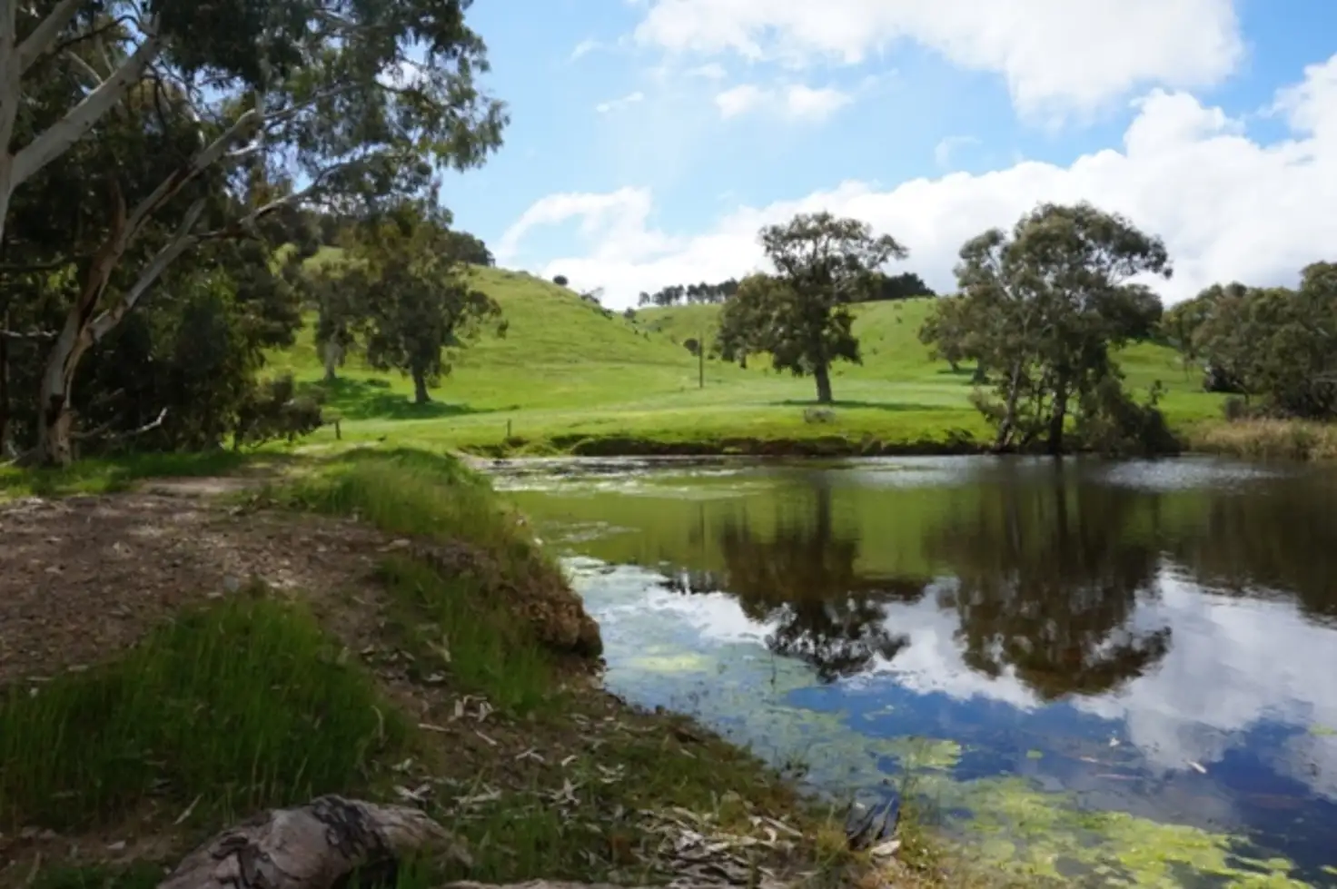 Main view of Homely rural property listing, 5474 Main South Road, Wattle Flat SA 5203