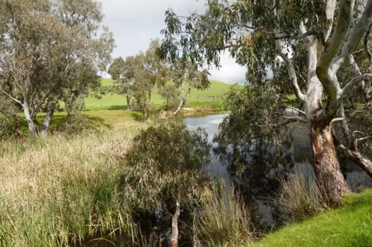 Sixth view of Homely rural property listing, 5474 Main South Road, Wattle Flat SA 5203