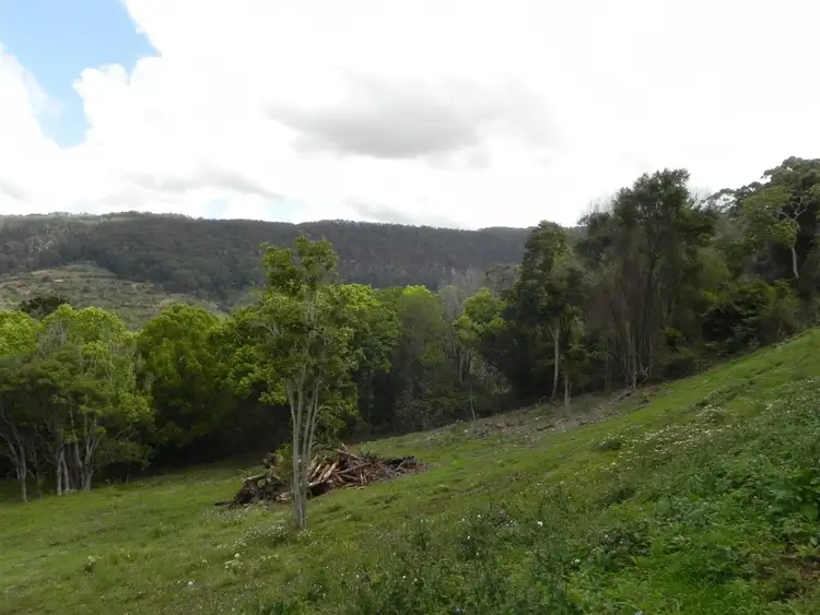 Seventh view of Homely rural property listing, 157 Frasers Road, Mullumbimby Creek NSW 2482