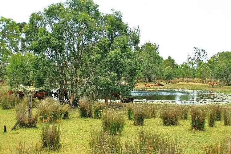 Fourth view of Homely rural property listing, 354 Lake Mary Road, Lake Mary QLD 4703