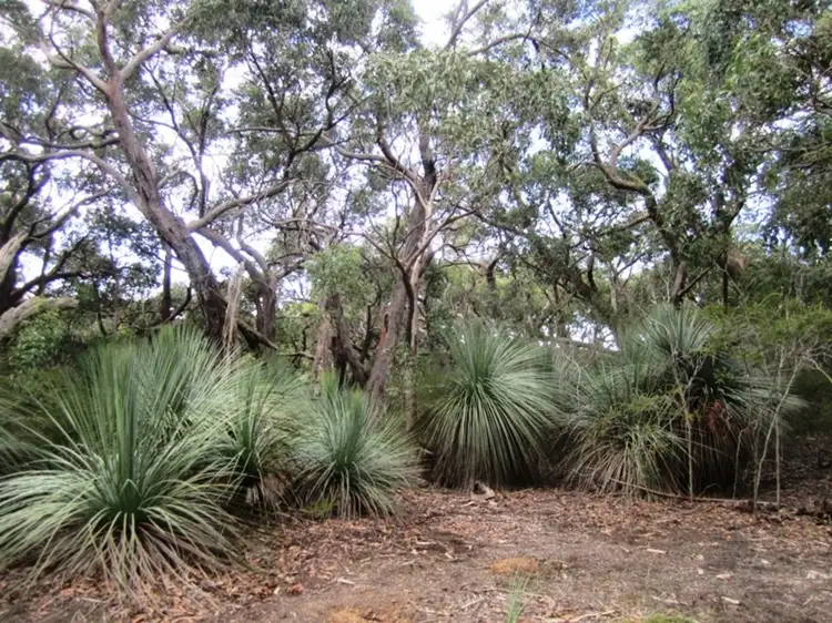 Main view of Homely rural property listing, Lot 15 Rarkang Road, Silverton SA 5204