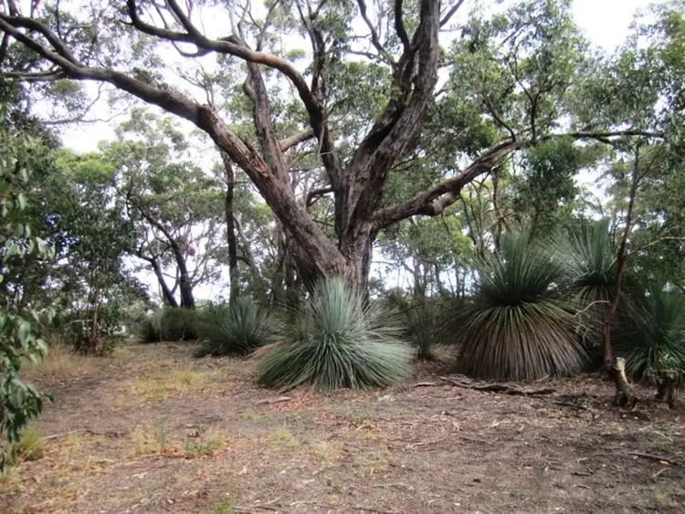 Second view of Homely rural property listing, Lot 15 Rarkang Road, Silverton SA 5204