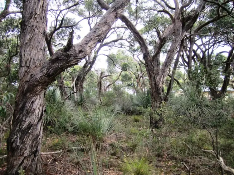 Third view of Homely rural property listing, Lot 15 Rarkang Road, Silverton SA 5204