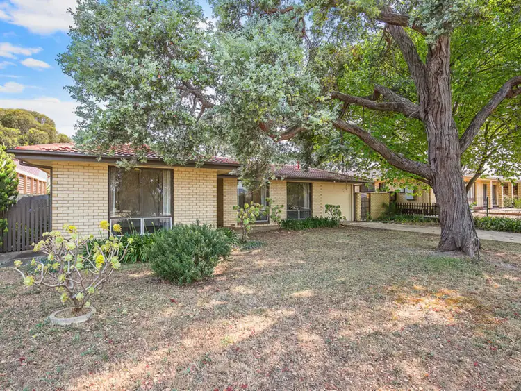 14 Vulcan Avenue, Modbury Heights SA 5092
