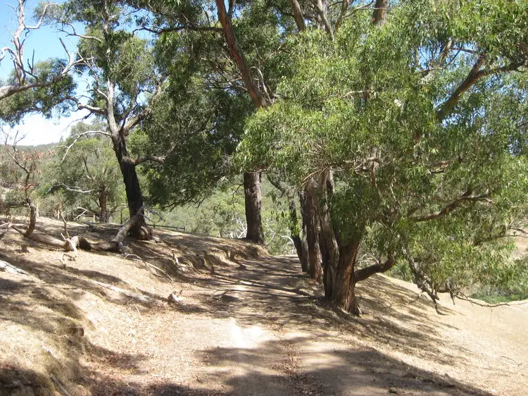 Sixth view of Homely rural property listing, Lot 9 Scott Road, Yundi SA 5172
