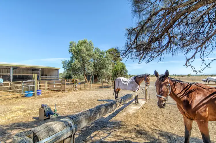Third view of Homely rural property listing, 14 Norman Road, Aldinga Beach SA 5173