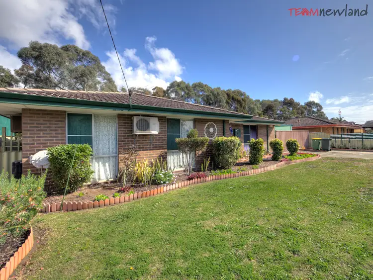 Seventh view of Homely house listing, 11 Pavetta Crescent, Forrestfield WA 6058