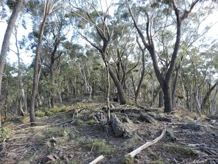 Seventh view of Homely rural property listing, 981 Jerrong Road, Taralga NSW 2580