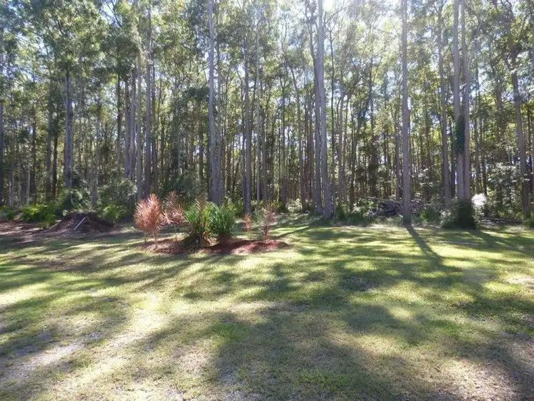 Third view of Homely rural property listing, 54 Little Creek Road, Cooroibah QLD 4565