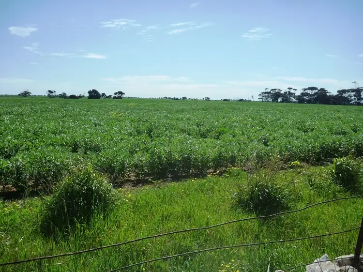 Fifth view of Homely rural property listing, 260 Lake Fowler Road, Coobowie SA 5583