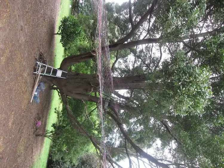 Seventh view of Homely house listing, 9-11 Thorpdale Road, Mirboo North VIC 3871