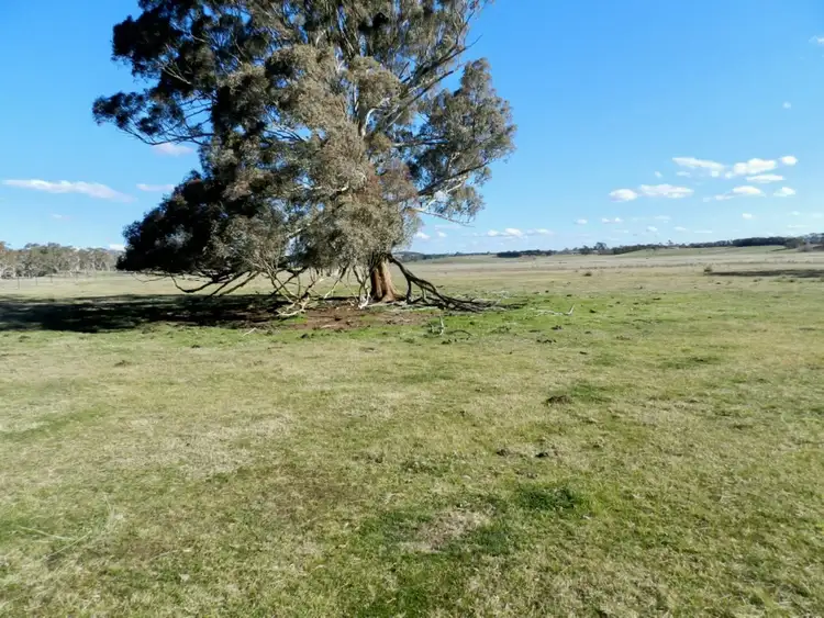 Seventh view of Homely rural property listing, Lot 2 Thornford Road, Goulburn NSW 2580