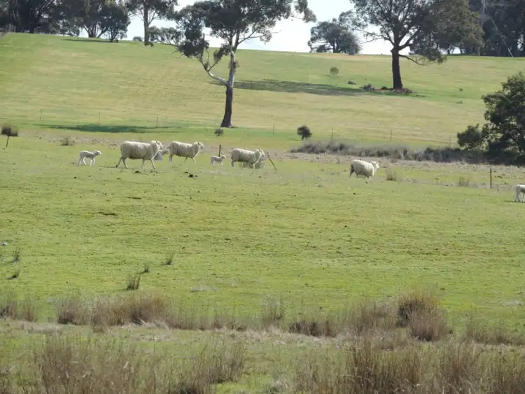 Third view of Homely rural property listing, 197 Kangaloolah Road, Binda NSW 2583