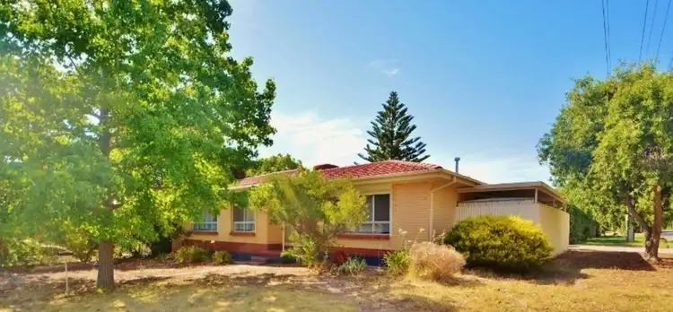 13 The Parade, Holden Hill SA 5088