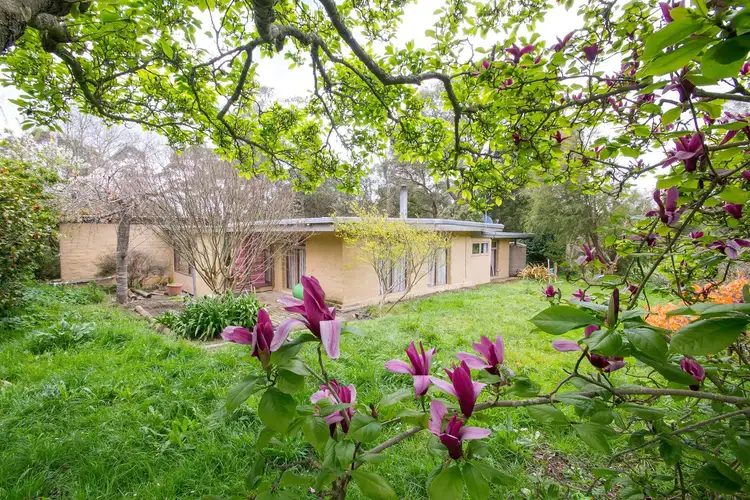 Main view of Homely house listing, 65A Britannia Creek Road, Wesburn VIC 3799