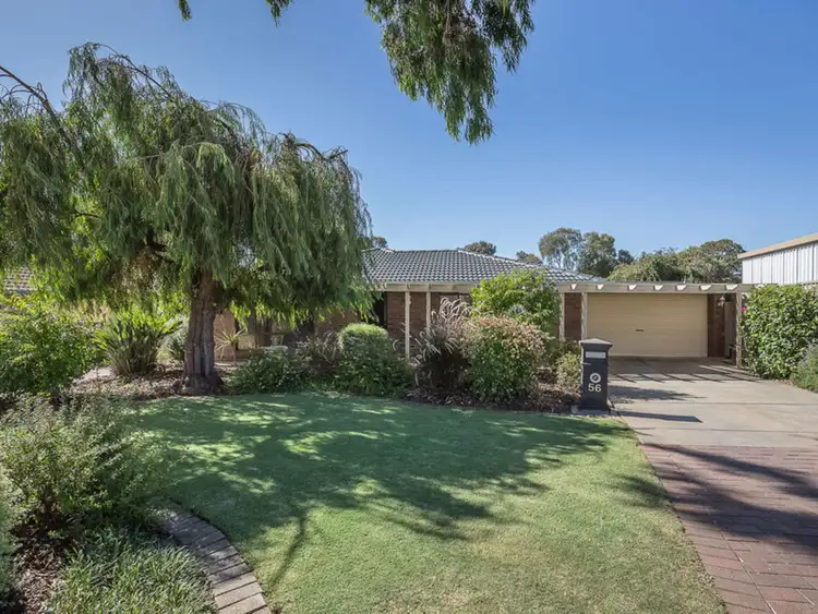 56 Devoncourt Avenue, Ingle Farm SA 5098