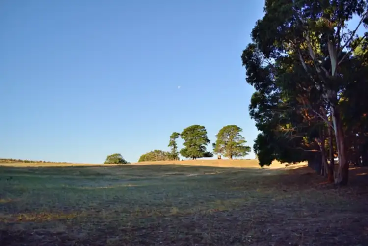 Sixth view of Homely rural property listing, Lot 1 Hunt Road, Mclaren Flat SA 5171