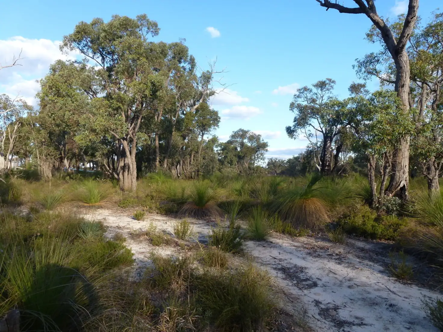 Main view of Homely land listing, 31 Salmon Gum Crescent, Chittering WA 6084