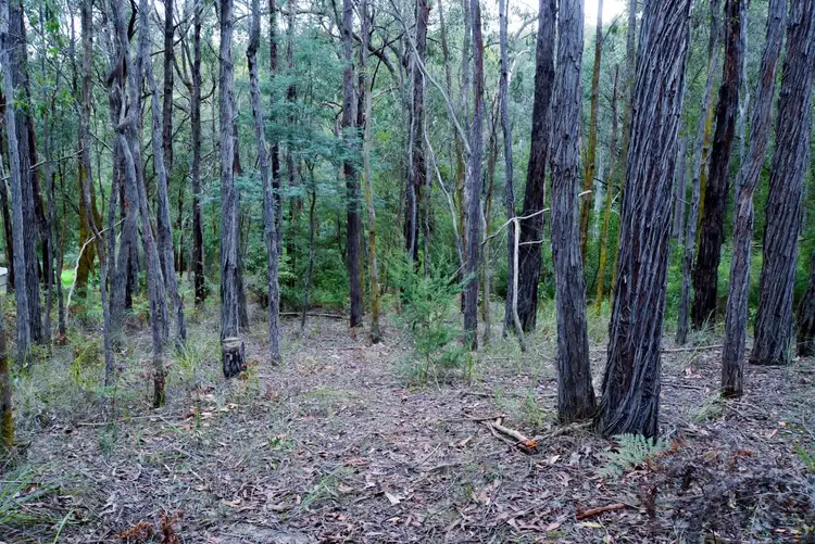 Third view of Homely land listing, 7 Cornelius Crescent, Healesville VIC 3777