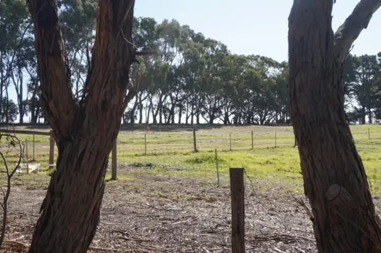 Third view of Homely rural property listing, 136 Through Road, Mount Compass SA 5210