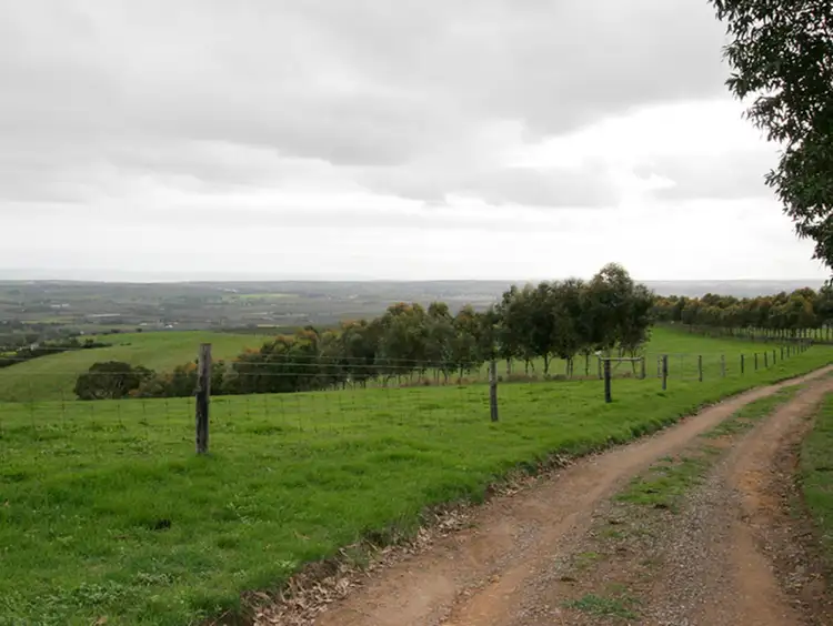 Fifth view of Homely rural property listing, 181 Taylors Hill Road, Willunga SA 5172
