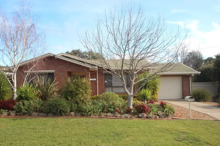 Main view of Homely house listing, 13 Bryant Street, Maryborough VIC 3465
