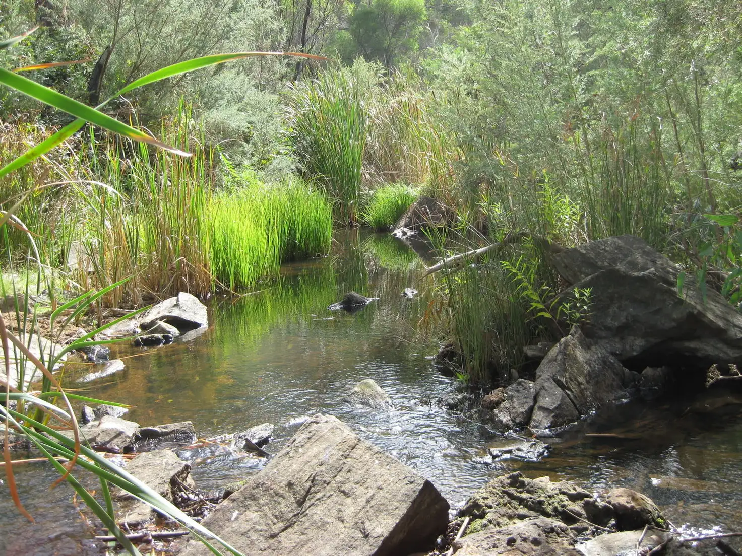 Main view of Homely rural property listing, Sec 210 Enterprise Road, Yundi SA 5172