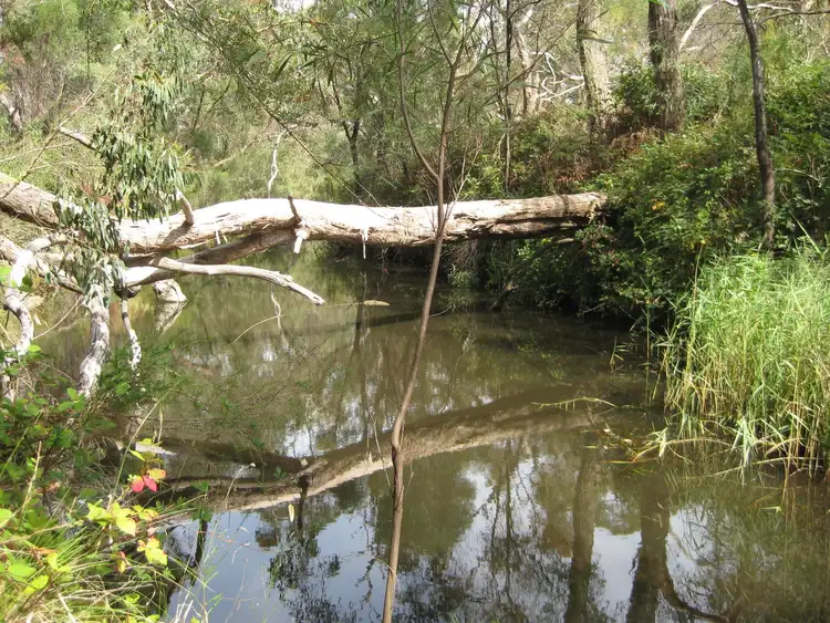 Sixth view of Homely rural property listing, Sec 210 Enterprise Road, Yundi SA 5172