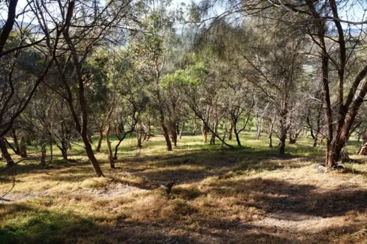 Third view of Homely rural property listing, Lot 6 Jervois Road, Yankalilla SA 5203