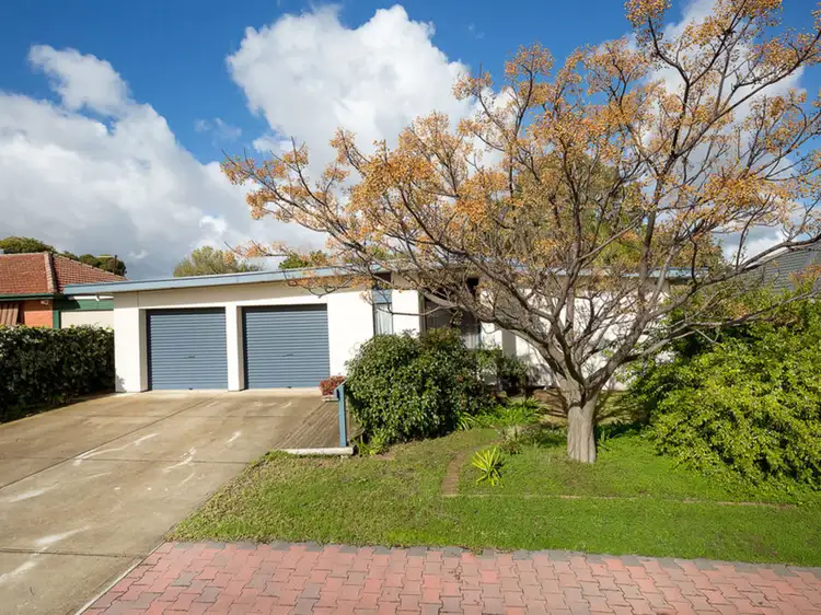 19 Michael Avenue