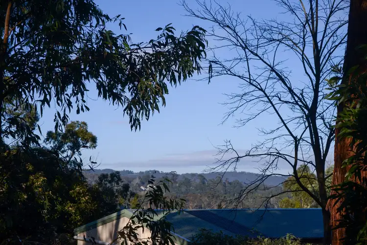 17 Harberts Road, Don Valley VIC 3139