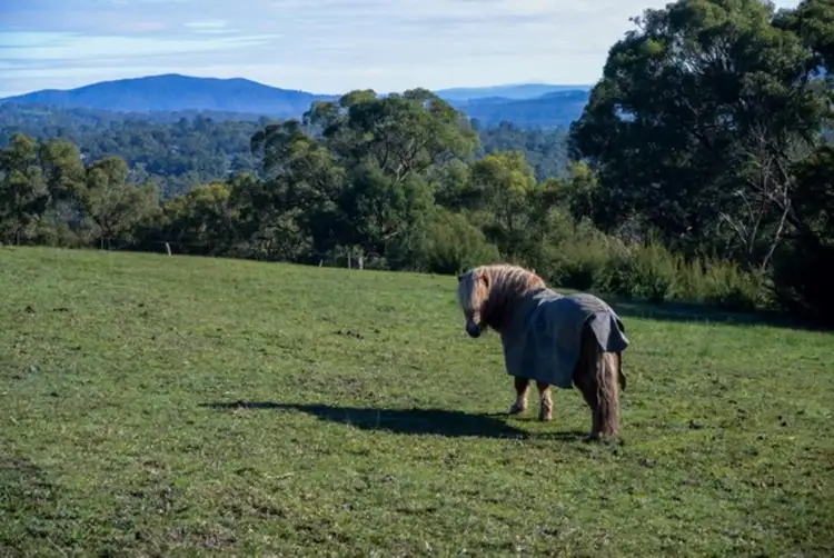 Second view of Homely rural property listing, 170 Glenview Road, Launching Place VIC 3139