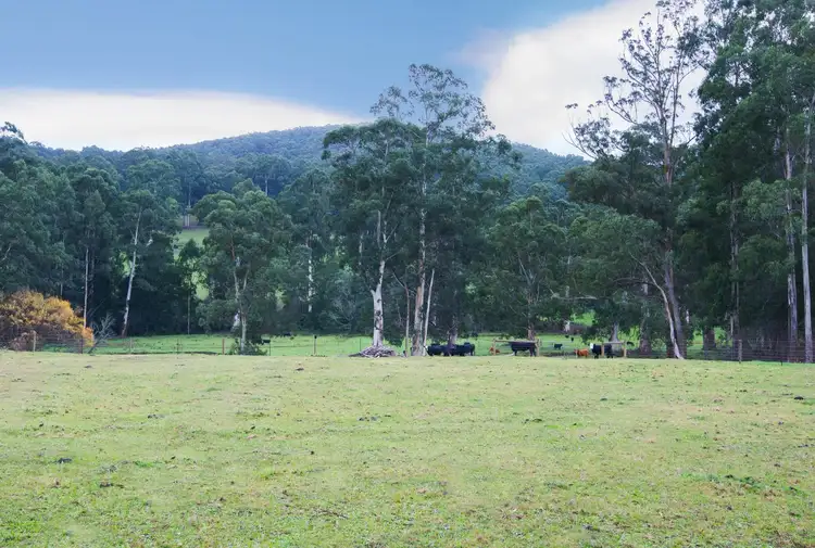 Fourth view of Homely land listing, 1085 Little Yarra Road, Three Bridges VIC 3797