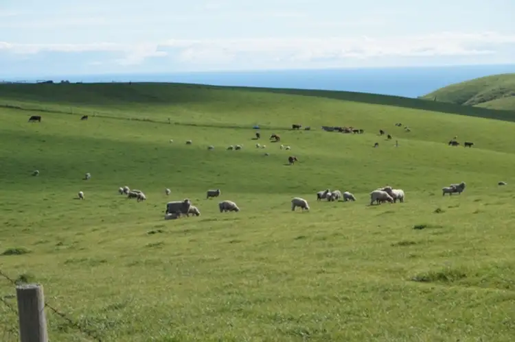 Second view of Homely rural property listing, LOTS/51 & 52 Reservoir Road, Myponga SA 5202